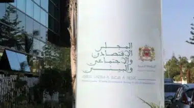 CESE : élection du nouveau bureau et des présidents des commissions permanentes pour 2026