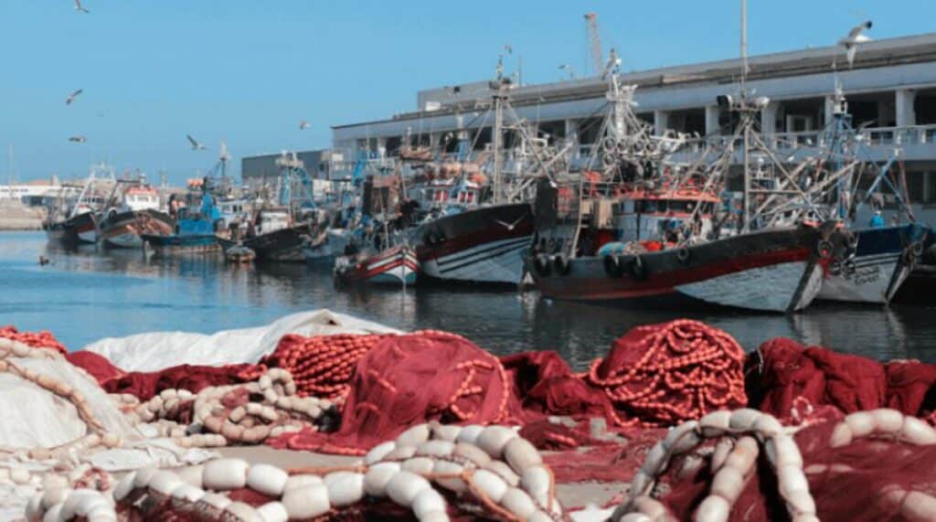 Deux décisions ministérielles viennent redéfinir les zones d’activité des chalutiers côtiers et des palangriers dans les eaux marocaines.
