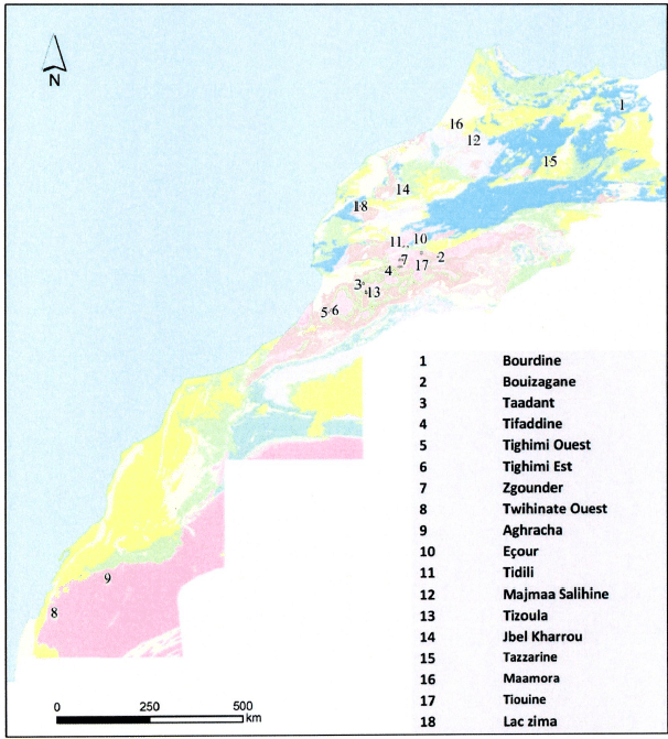Fer, lithium, cobalt... l’ONHYM enclenche la certification environnementale de 18 projets miniers