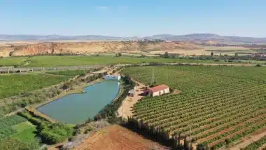 Après des années de sécheresse, la campagne agricole 2025-2026 s’annonce exceptionnelle