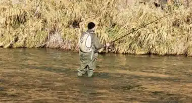 Pêche dans les rivières et les barrages : l'État durcit les règles