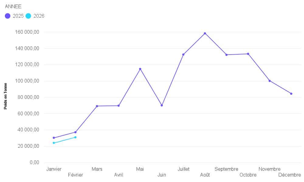 Le mystère de la sardine. Pourquoi ce poisson déserte-t-il nos côtes atlantiques ?