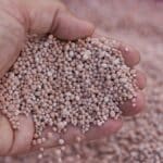 Engrais. Sous pression à cause du blocus d’Ormuz, l’Inde se tourne massivement vers le Maroc