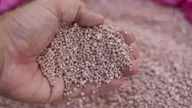 Guerre d'Iran : après Washington, New Delhi mise aussi sur le Maroc pour les engrais