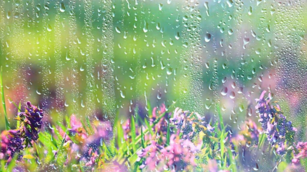 Instabilité printanière pluies, orages et baisse des températures ces prochains jours