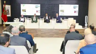 Transport rural : le CESE alerte sur les défis et plaide pour un plan intégré et durable