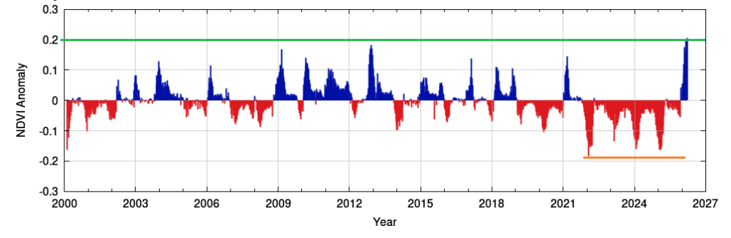 Images satellites : la céréaliculture portée par un hiver pluvieux, un printemps qui s’annonce encourageant