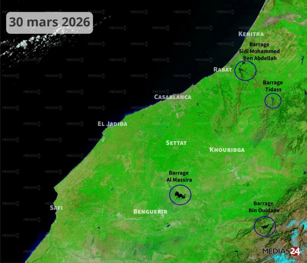 Images satellites : la céréaliculture portée par un hiver pluvieux, un printemps qui s’annonce encourageant
