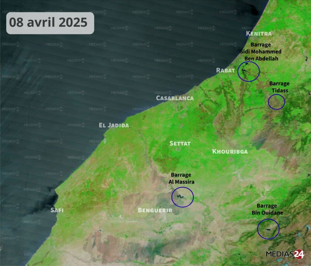 Images satellites : la céréaliculture portée par un hiver pluvieux, un printemps qui s’annonce encourageant