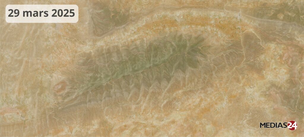 Images satellites : la céréaliculture portée par un hiver pluvieux, un printemps qui s’annonce encourageant