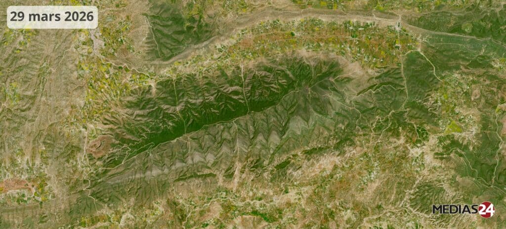 Images satellites : la céréaliculture portée par un hiver pluvieux, un printemps qui s’annonce encourageant