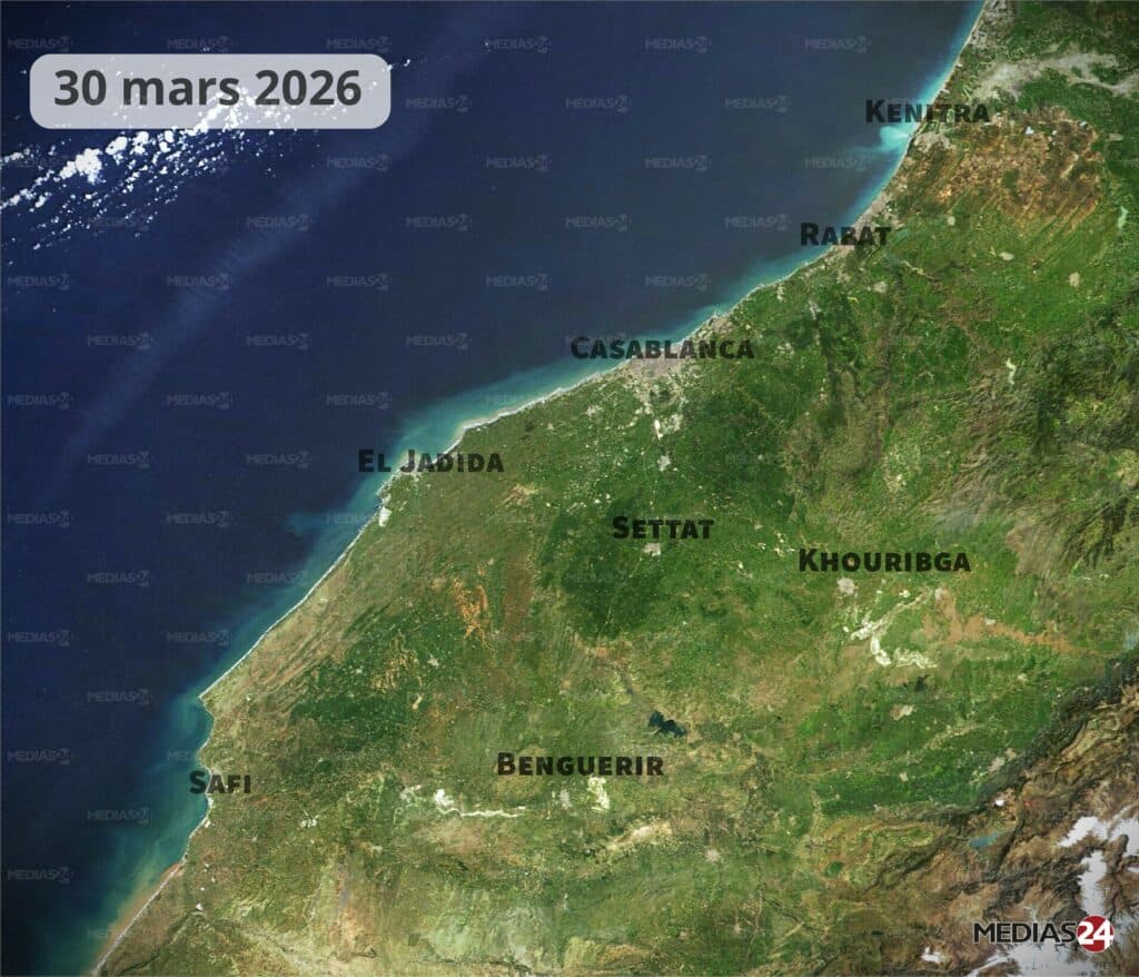 Images satellites : la céréaliculture portée par un hiver pluvieux, un printemps qui s’annonce encourageant