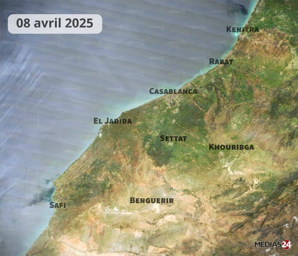 Images satellites : la céréaliculture portée par un hiver pluvieux, un printemps qui s’annonce encourageant
