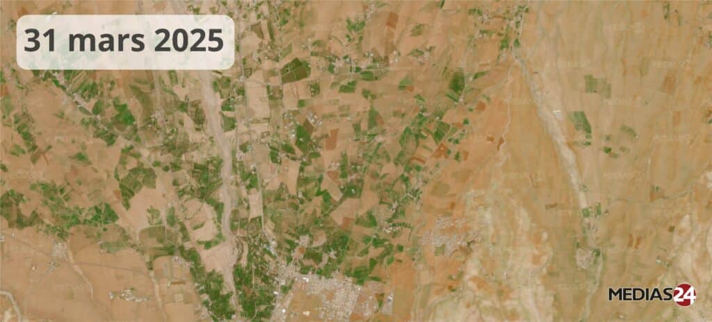 Images satellites : la céréaliculture portée par un hiver pluvieux, un printemps qui s’annonce encourageant