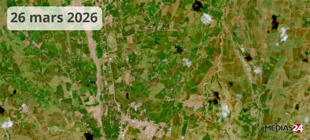 Images satellites : la céréaliculture portée par un hiver pluvieux, un printemps qui s’annonce encourageant