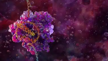 Une injection pour créer des cellules anticancer dans le corps, une possible percée qui change tout