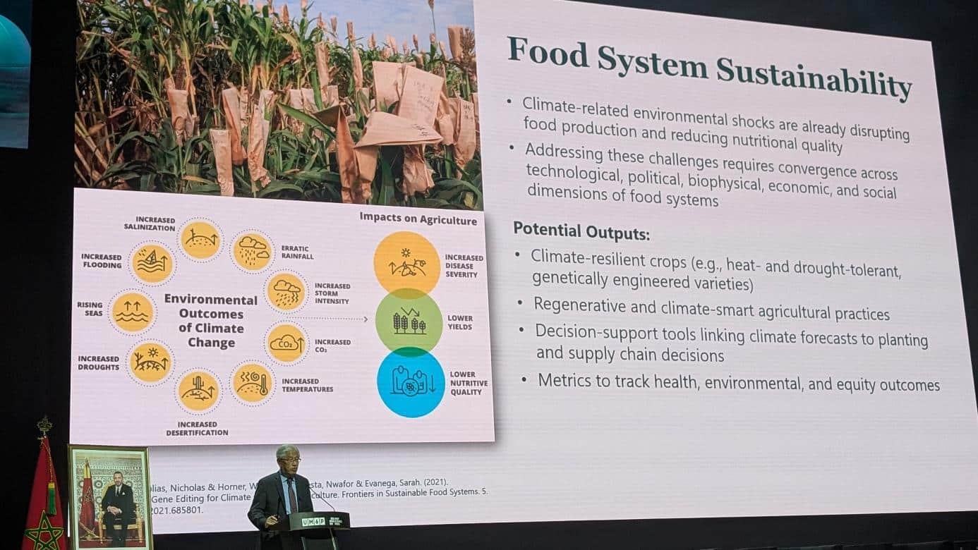 Pourquoi les hôpitaux ne font pas (à eux seuls) la santé des populations