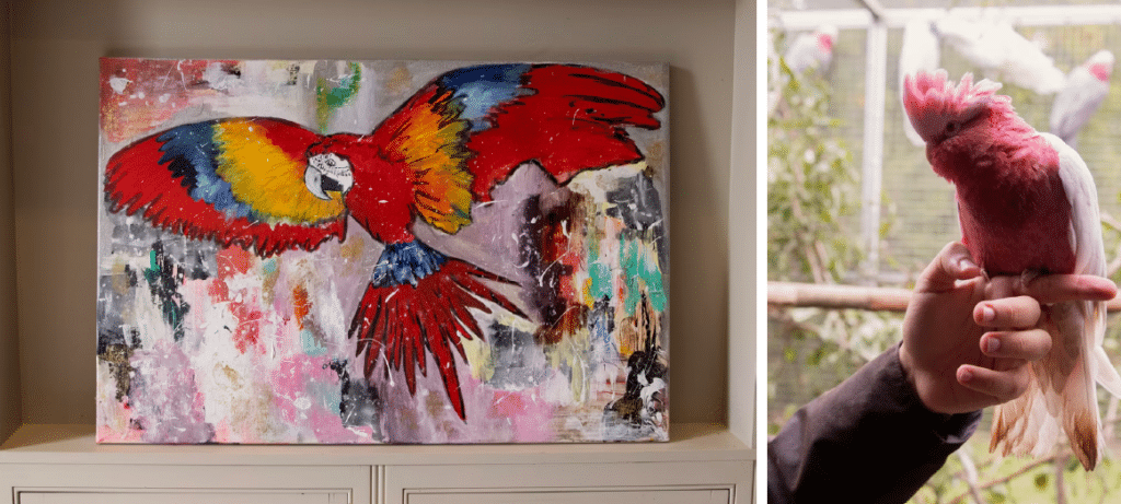 L’homme qui a dit &ldquo;non&rdquo; à Ken Griffin : l’ascension fulgurante de Hamza Lemssouguer et ses 20 milliards de dollars