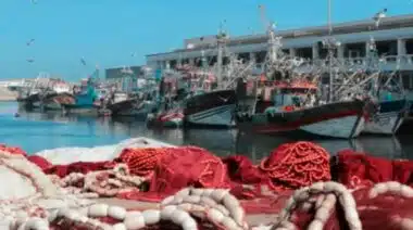 Pêche maritime : un numéro vert pour les plaintes liées à l’intégrité et à la transparence