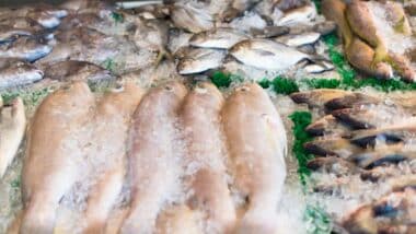 Poissons congelés : vers un réseau national de vente pour réguler les prix toute l’année