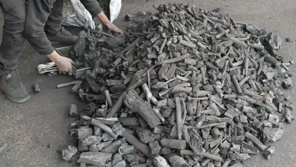 Charbon de bois tensions entre offre encadrée et demande élevée