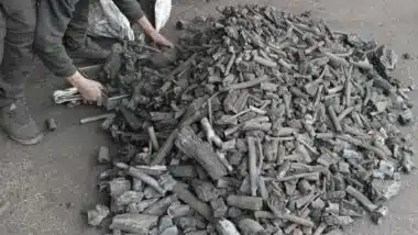 Charbon de bois : jusqu’à 15 DH le kilo à l’approche de Aïd al-Adha, la flambée se confirme