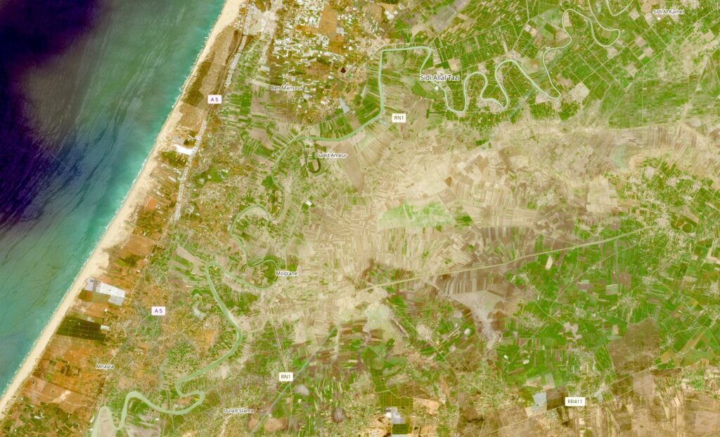 Céréales. Une récolte en forte hausse au Maroc, mais toujours sous la menace d’un coup de chaleur