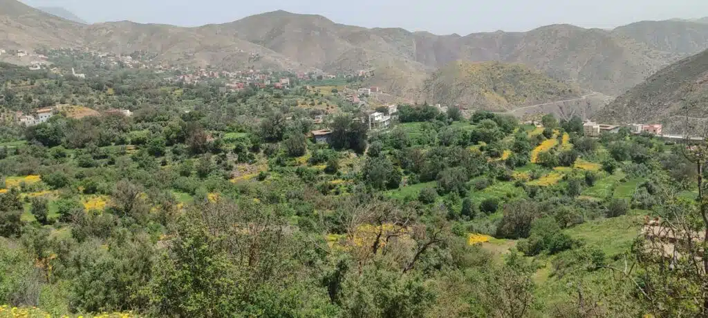 Reportage.Tigouliane change de visage après une pluviométrie exceptionnelle