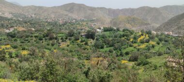 Tigouliane change de visage après une pluviométrie exceptionnelle