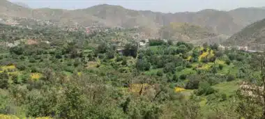 Tigouliane change de visage après une pluviométrie exceptionnelle