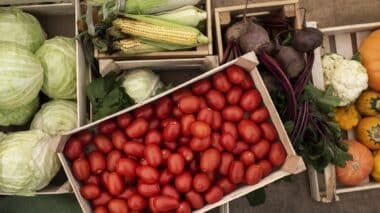 Flambée des fruits et légumes. &ldquo;Une hausse de 50% du gasoil ne représente que quelques centimes par kg&rdquo; (transporteurs)