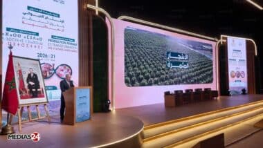 SIAM 2026. Un rebond agricole tiré par la production et la croissance du PIB agricole