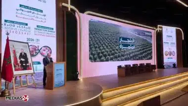 SIAM 2026. Un rebond agricole tiré par la production et la croissance du PIB agricole