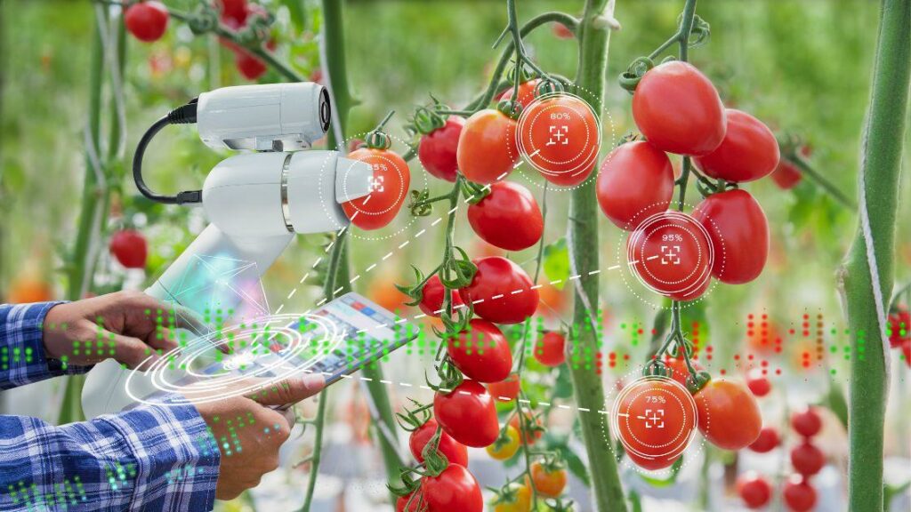 Génération Green : le ministère de l’Agriculture veut se doter d’une plateforme de suivi à 4 millions de dirhams