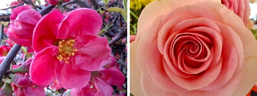 Samsung lance les Galaxy A57 5G et A37 5G avec de nouvelles fonctions IA