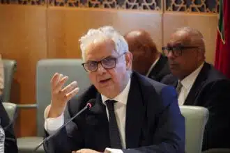 Grands barrages : 16 en cours de réalisation, 7 autres programmés