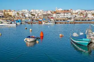 “Histoire connectée” : ce que l’on n’a jamais vraiment raconté sur le Maroc médiéval