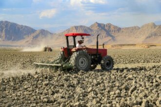 La recrudescence des chaleurs extrêmes pousse l'agriculture mondiale &ldquo;à bout&rdquo;