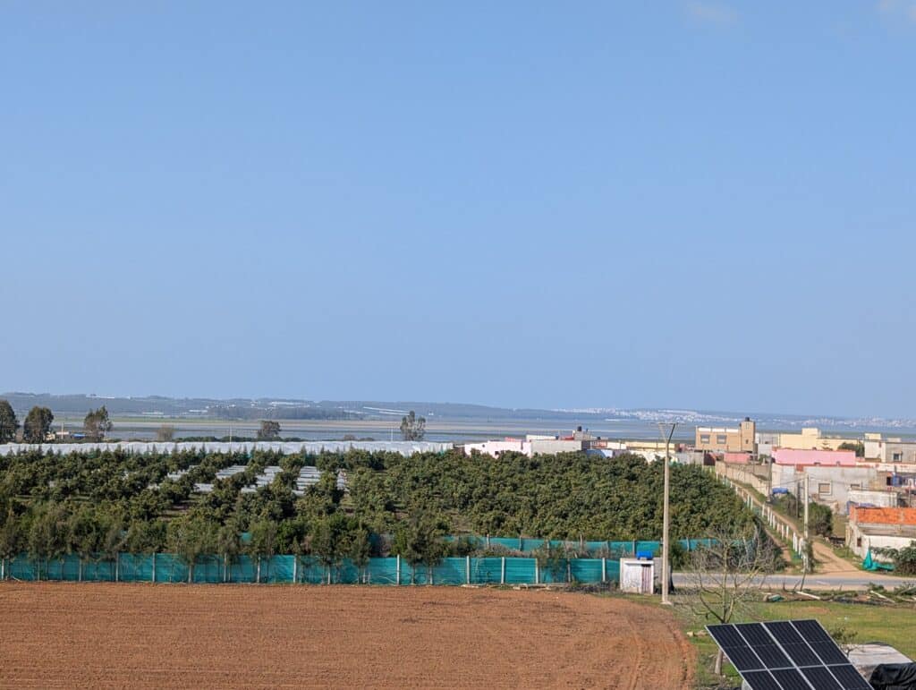 Reportage. Dans le Gharb-Loukkos, la fraise perd du terrain