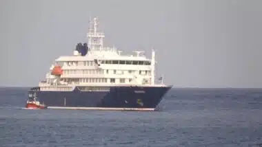 Hantavirus : ce que l'on sait de la souche mortelle qui frappe à bord du MV Hondius