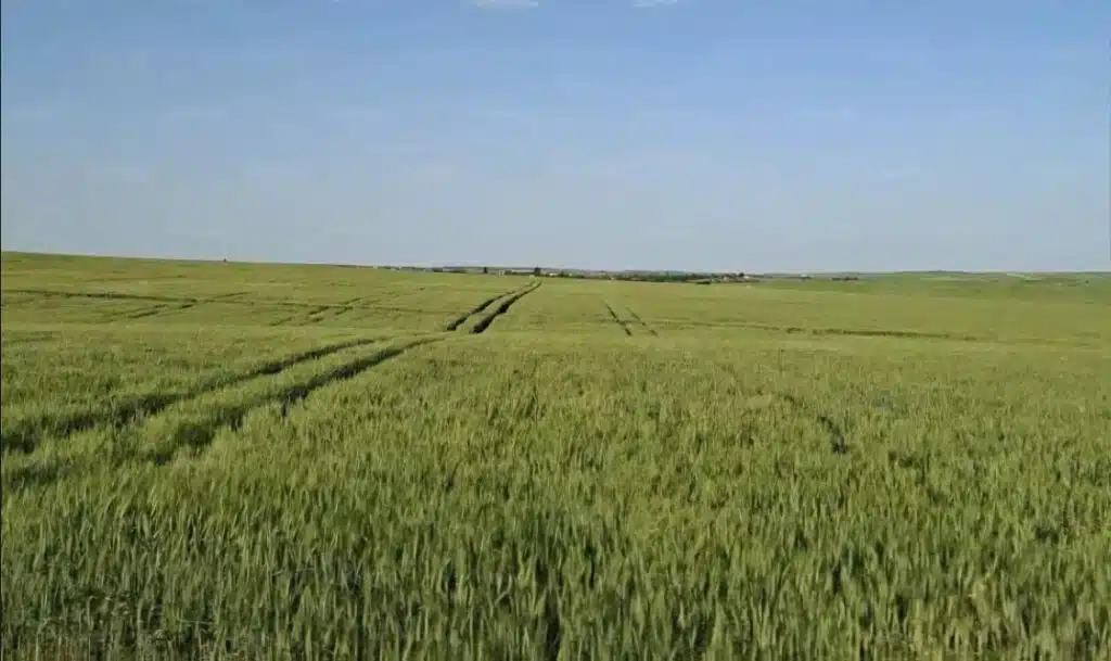 Agriculture. Les engrais importés s'envolent de 40% à 60%, les agriculteurs sous pression