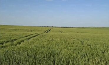 Agriculture: Imported fertilizers surge 40–60%, squeezing farmers’ margins