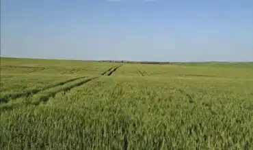 Agriculture. Les engrais importés s'envolent de 40% à 60%, les agriculteurs sous pression