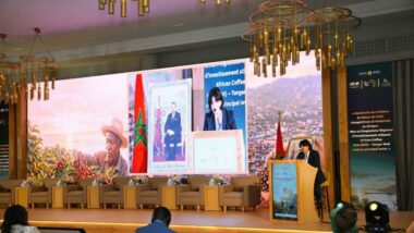 Comment le Maroc s’impose comme le nouveau pivot africain du café