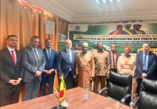 Maroc-Mali : une mission de l’OCP et de l’AMCI à Bamako pour renforcer la coopération agricole