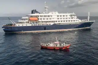 Hantavirus : le chef de l’OMS rassure Tenerife avant l’arrivée du MV Hondius