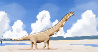 Le “titan des phosphates de Khouribga” enrichit la carte mondiale des dinosaures