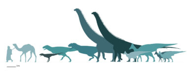 Le “titan des phosphates de Khouribga” enrichit la carte mondiale des dinosaures