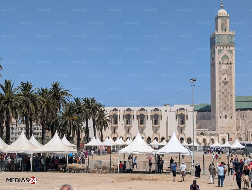 Reportage. Aïd al-Adha 2026, le mouton hors de prix Reportage. Aïd al-Adha 2026, le mouton hors de prix