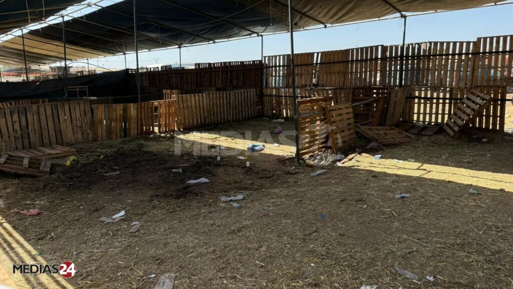 A Casablanca, la pénurie de moutons à la veille de l’Aïd suscite interrogations et tensions